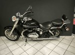 Angebot Triumph America