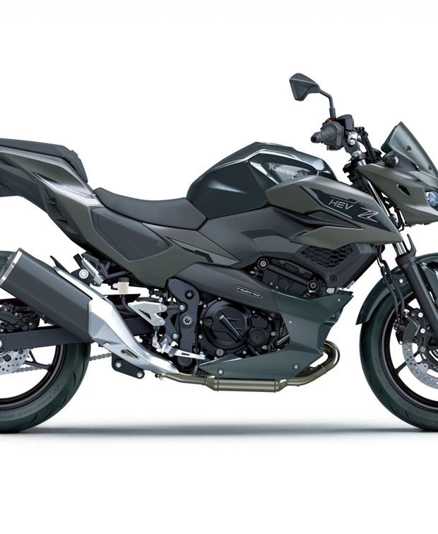 Kawasaki Z7 Hybrid<br />Tageszulassung
