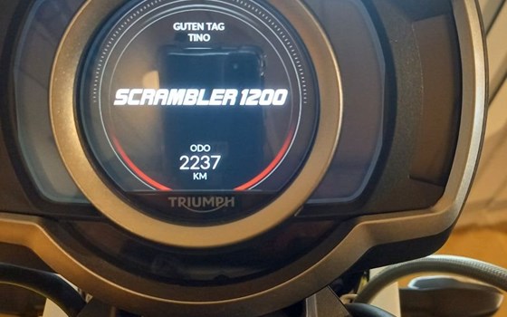 Gebrauchtmotorrad Triumph Scrambler 1200 XE - Bild 17