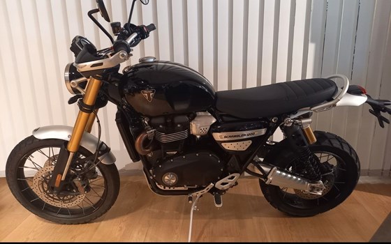 Gebrauchtmotorrad Triumph Scrambler 1200 XE - Bild 3