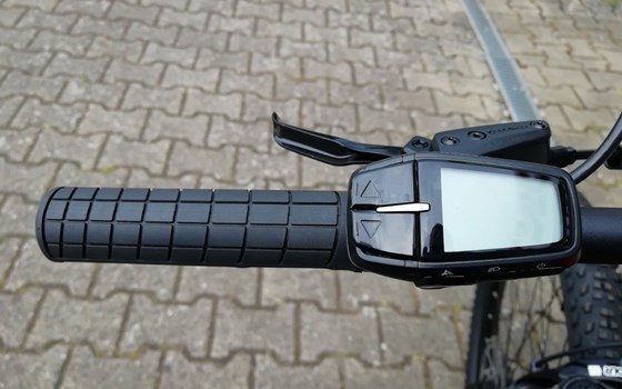 Neufahrzeug GASGAS G Cross Country - Bild 10