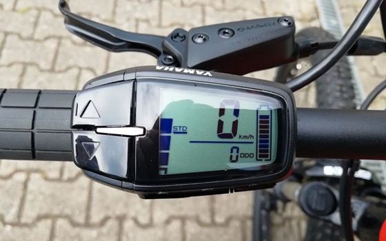 Neufahrzeug GASGAS G Cross Country - Bild 11