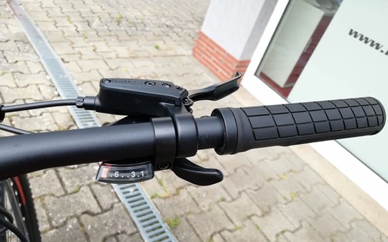 Neufahrzeug GASGAS G Cross Country - Bild 12