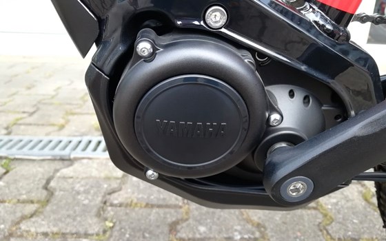 Neufahrzeug GASGAS G Cross Country - Bild 17