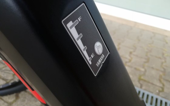 Neufahrzeug GASGAS G Cross Country - Bild 18