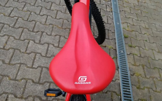 Neufahrzeug GASGAS G Cross Country - Bild 19