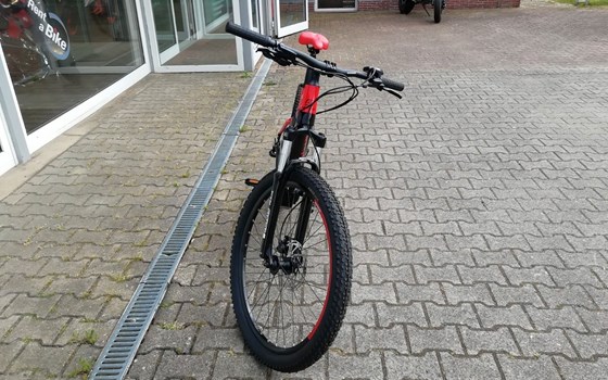 Neufahrzeug GASGAS G Cross Country - Bild 3