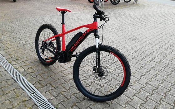 Neufahrzeug GASGAS G Cross Country - Bild 4