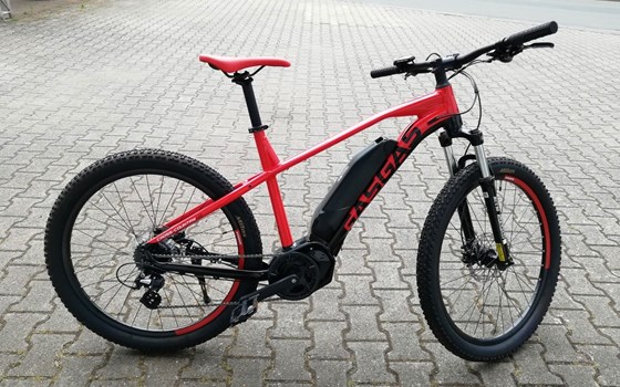 Neufahrzeug GASGAS G Cross Country - Bild 5