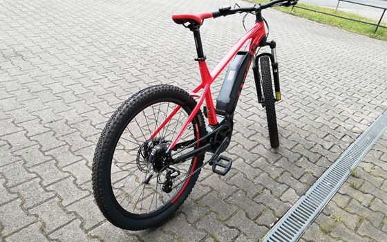 Neufahrzeug GASGAS G Cross Country - Bild 6