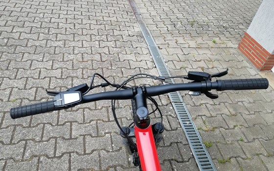 Neufahrzeug GASGAS G Cross Country - Bild 9