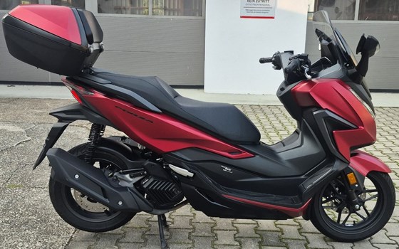 Gebrauchtmotorrad Honda Forza 125 - Bild 2