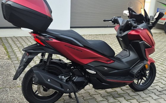 Gebrauchtmotorrad Honda Forza 125 - Bild 3