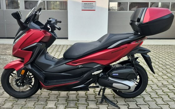 Gebrauchtmotorrad Honda Forza 125 - Bild 5