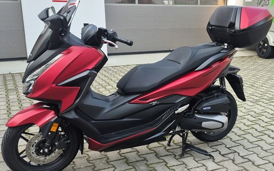 Gebrauchtmotorrad Honda Forza 125 - Bild 6
