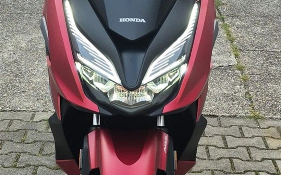 Gebrauchtmotorrad Honda Forza 125 - Bild 8