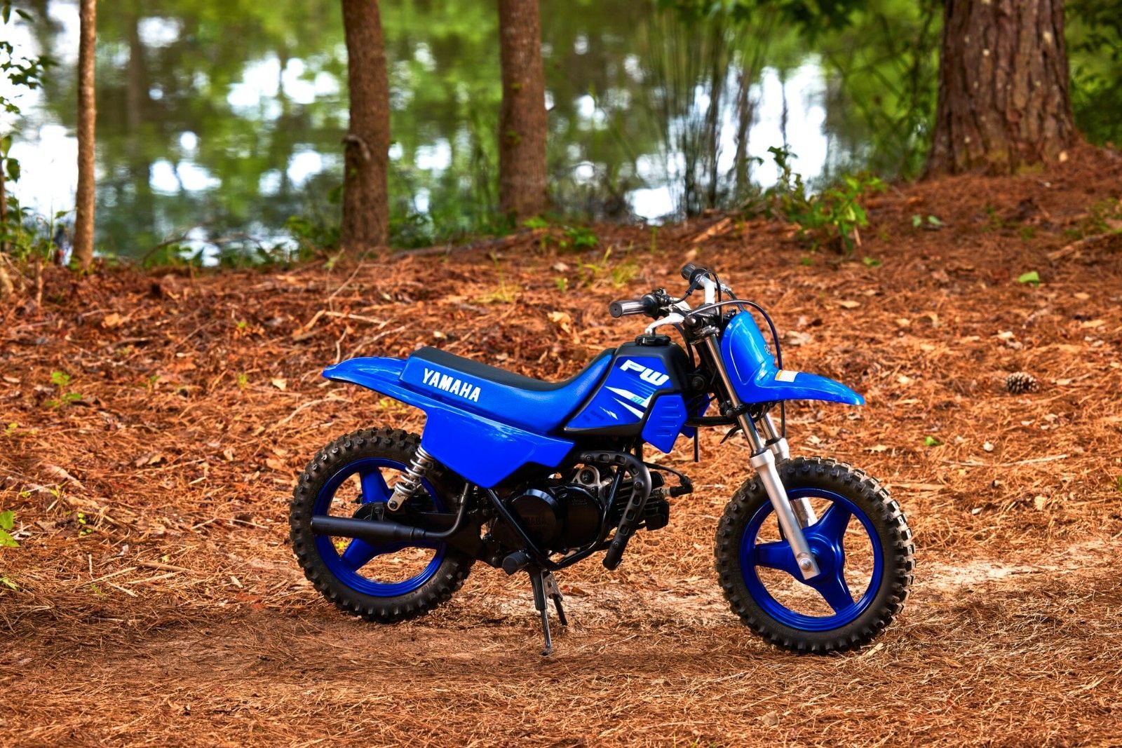 Yamaha PW50