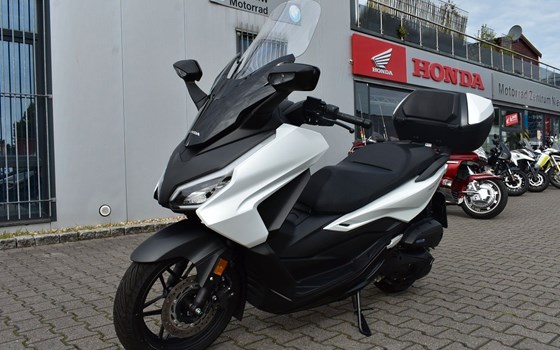 Gebrauchtmotorrad Honda Forza 125 - Bild 2