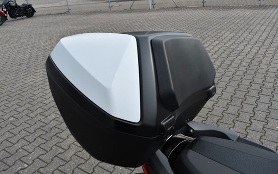 Gebrauchtmotorrad Honda Forza 125 - Bild 5