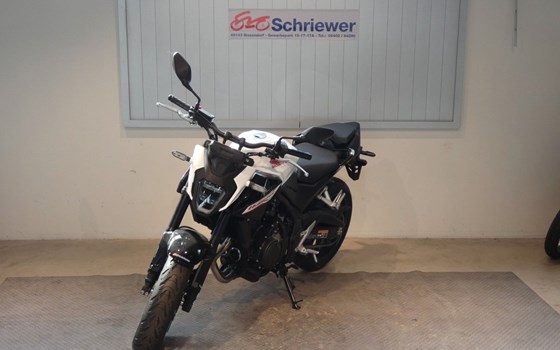 Neufahrzeug Honda CB500 Hornet - Bild 6