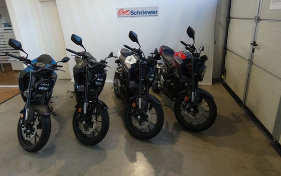 Neufahrzeug Honda CB125R - Bild 1