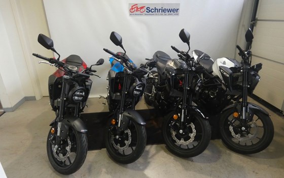 Neufahrzeug Honda CB125R - Bild 2