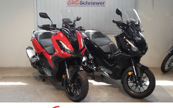 Neufahrzeug Honda ADV350 - Bild 1