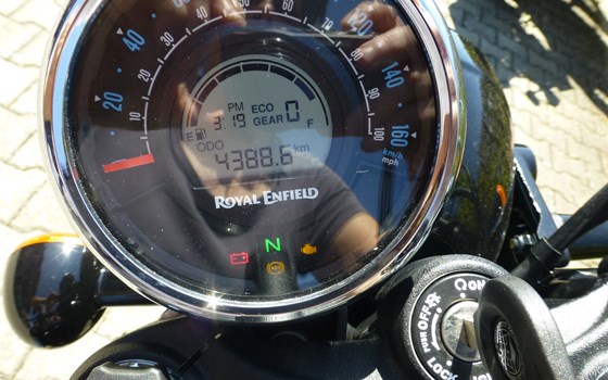 Motorrad Occasion Royal Enfield Meteor 350 Stellar - Bild 8