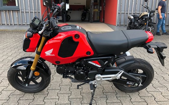 Gebrauchtmotorrad Honda MSX125 Grom - Bild 1