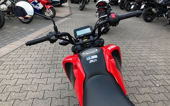Gebrauchtmotorrad Honda MSX125 Grom - Bild 14