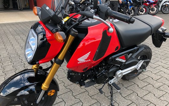 Gebrauchtmotorrad Honda MSX125 Grom - Bild 2
