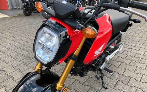 Gebrauchtmotorrad Honda MSX125 Grom - Bild 8