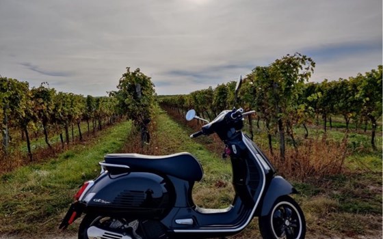 Gebrauchtmotorrad Vespa GTS 125 Super - Bild 6 Gebrauchtmotorrad Vespa GTS 125 Super - Bild 6