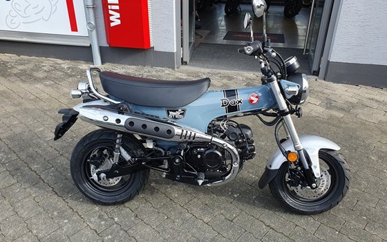 Gebrauchtmotorrad Honda Dax 125 - Bild 2