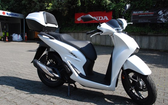 Neufahrzeug Honda SH150i - Bild 1