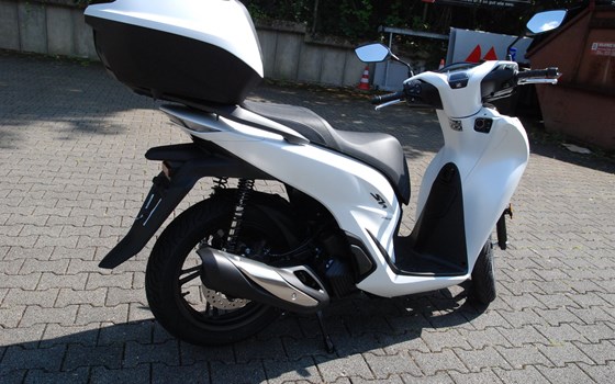 Neufahrzeug Honda SH150i - Bild 3