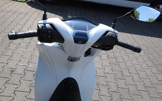 Neufahrzeug Honda SH150i - Bild 17
