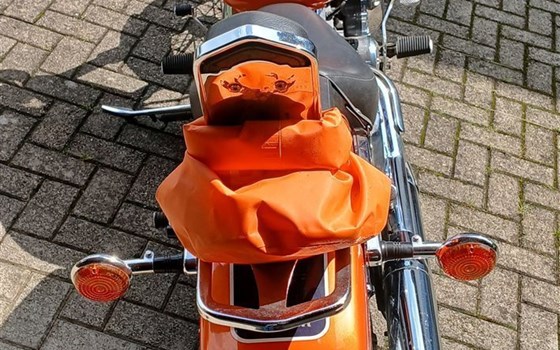 Motorrad Occasion Yamaha XVS 650 Drag Star - Bild 2