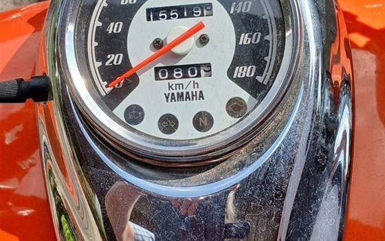 Motorrad Occasion Yamaha XVS 650 Drag Star - Bild 4