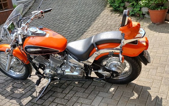 Motorrad Occasion Yamaha XVS 650 Drag Star - Bild 5