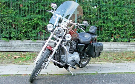 Gebrauchtmotorrad Harley-Davidson Sportster XL 883 C Custom - Bild 2