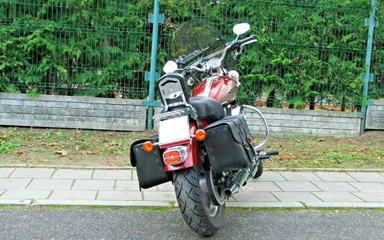 Gebrauchtmotorrad Harley-Davidson Sportster XL 883 C Custom - Bild 3