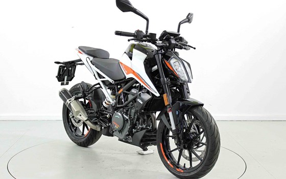 Motorrad Occasion KTM 390 Duke - Bild 2