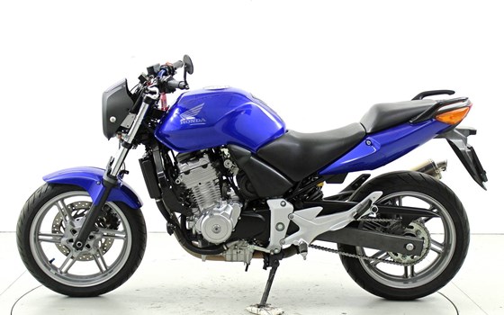 Motorrad Occasion Honda CBF 500 - Bild 5