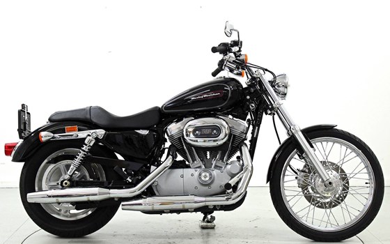 Motorrad Occasion Harley-Davidson Sportster XL 883 C Custom - Bild 4