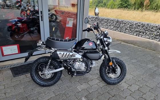 Neufahrzeug Honda Monkey 125 - Bild 2