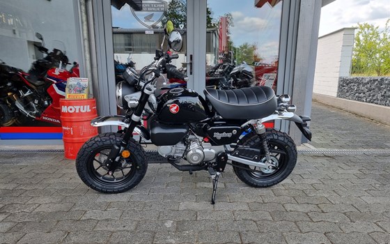 Neufahrzeug Honda Monkey 125 - Bild 4