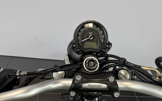 Neufahrzeug Triumph Scrambler 900 - Bild 9