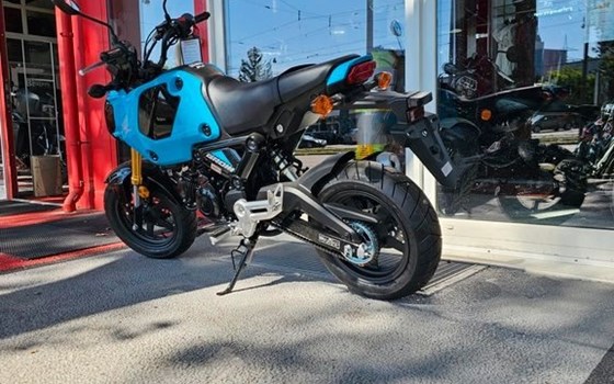 Neufahrzeug Honda MSX125 Grom - Bild 5