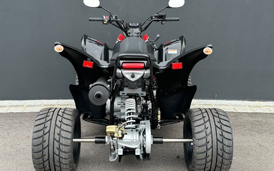 Neufahrzeug Aeon Cobra 424 SM - Bild 11